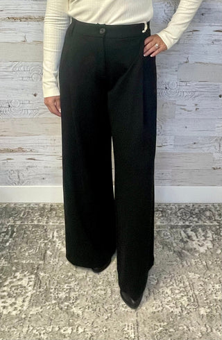 Ab Solution Pleated Wide Leg Trouser - Shop Hidden Treasure Boutique