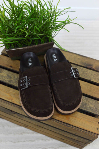 A pair of dark brown suede slip-on clogs with silver buckle straps, displayed on a rustic wooden crate with a green plant in the background.