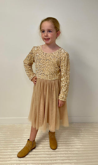 Champagne Holiday Fancy Dress - Shop Hidden Treasure Boutique