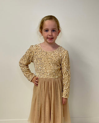 Champagne Holiday Fancy Dress - Shop Hidden Treasure Boutique