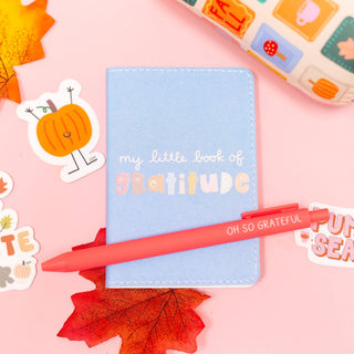 Little Book Of Gratitude Guided Pocket Journal - Shop Hidden Treasure Boutique
